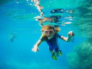 Snorkeling in Paxos